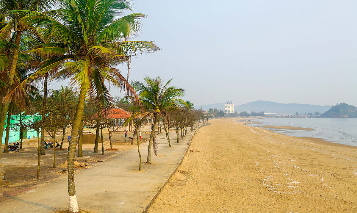 Cẩm Nang