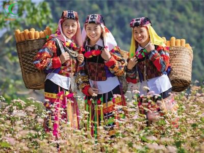 Du lịch Hà Giang 5 ngày 4 đêm