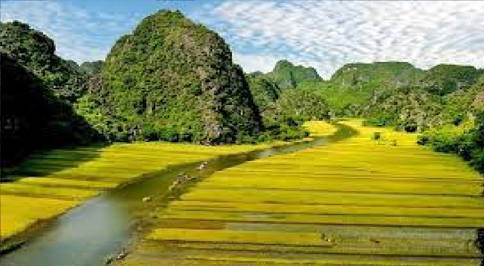Chùa BÁI ĐÍNH - KDL TRÀNG AN NINH BÌNH 1 NGÀY