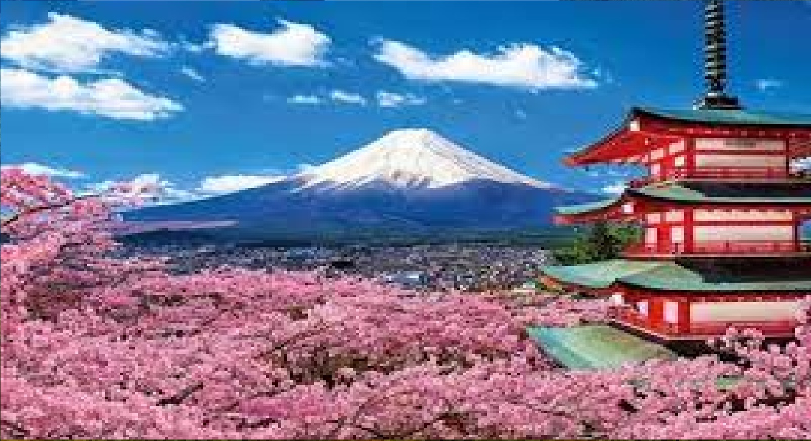 Hà Nội - Tokyo - Yamanashi - Phú Sĩ 4 ngày 3 đêm
