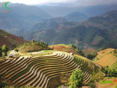 Mù Cang Chải - Sapa - Lai Châu - Điện Biên - Mộc Châu - Mai Châu